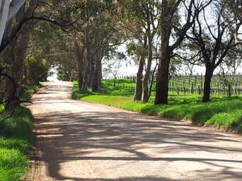 Adelaide Hills / Hahndorf Tour